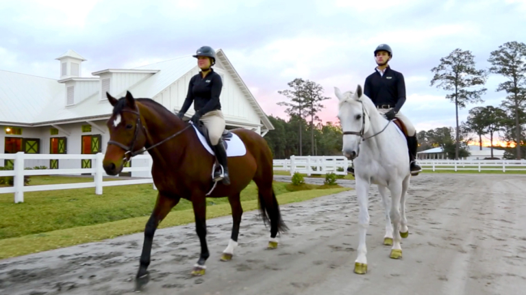 Equestrian Studies Degrees | Equestrian Studies Programs | SCAD.edu